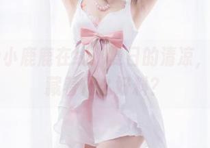 Shika小鹿鹿在线：夏日的清凉，图集中藏着什么好料？