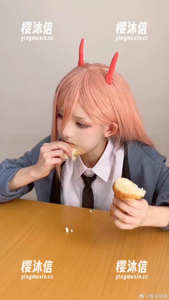 腥味猫罐 腥味猫罐的职业装秀:私房写真,谁的扮相最得宠?