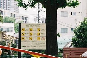 黑川的玛修内衣合集——图多，眼福大开！但小心，每张都有可能让你再看一眼！